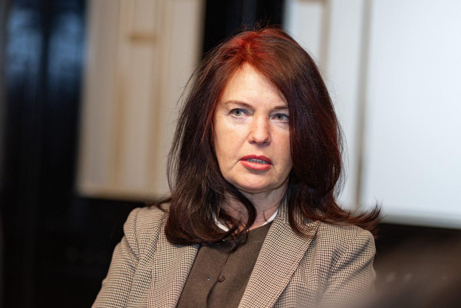 KM pārstāvju tikšanās ar Pētera Vaska fonda pārstāvjiem KM Kamīnzālē