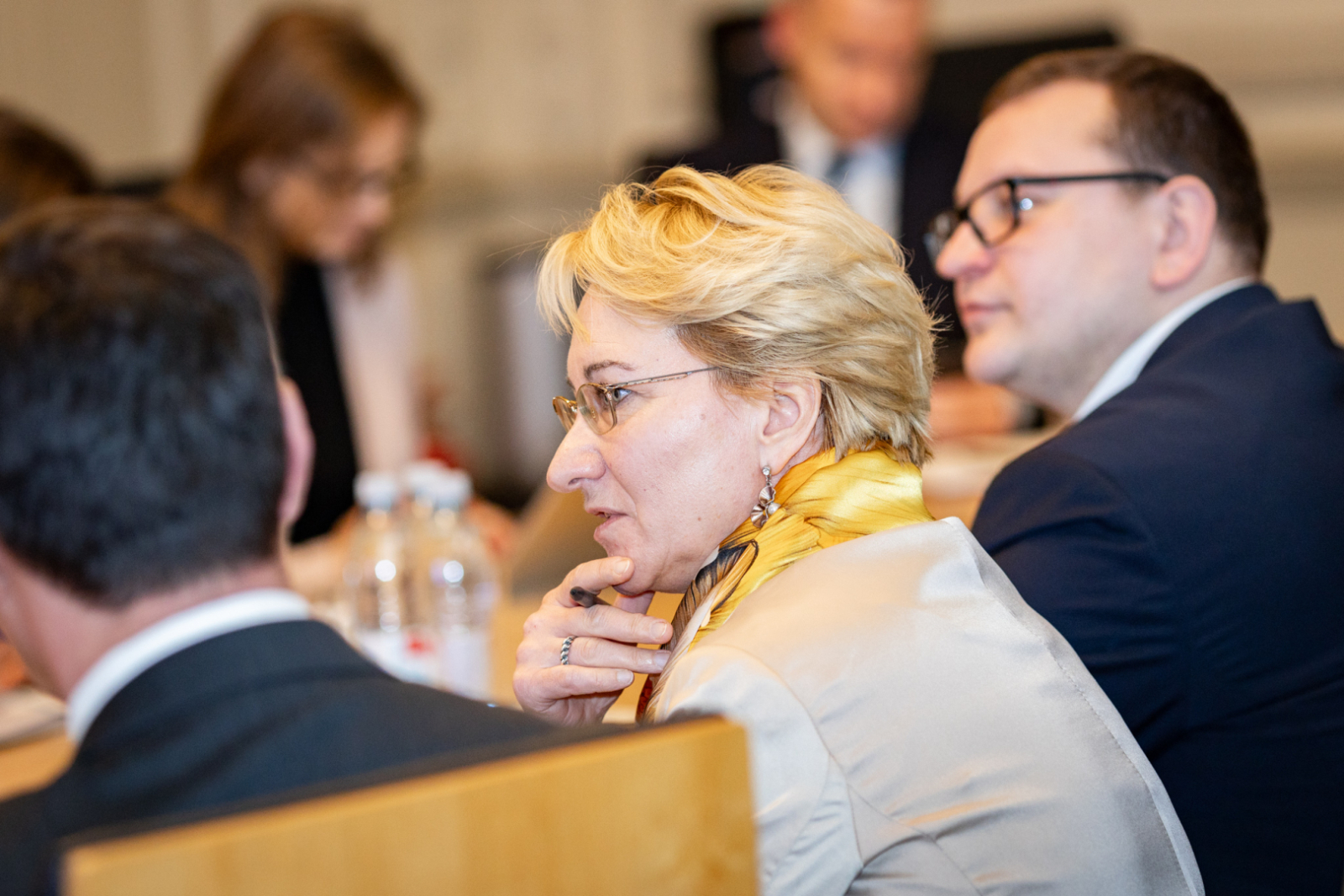 15.01.2025_Eiropas kultūras galvaspilsētas uzraudzības padomes sēde