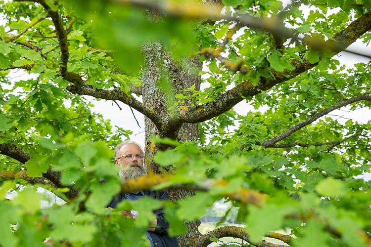 Latvijas Muzeju biedrības Gada balvas pasniegšana