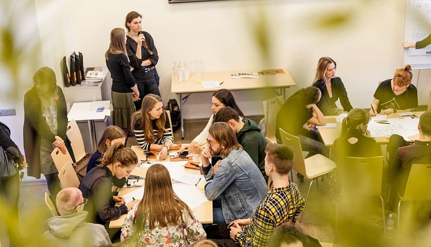 Izvēles kursos LKA iespēja apgūt audiovizuālu reklāmu veidošanu, ķīniešu valodu