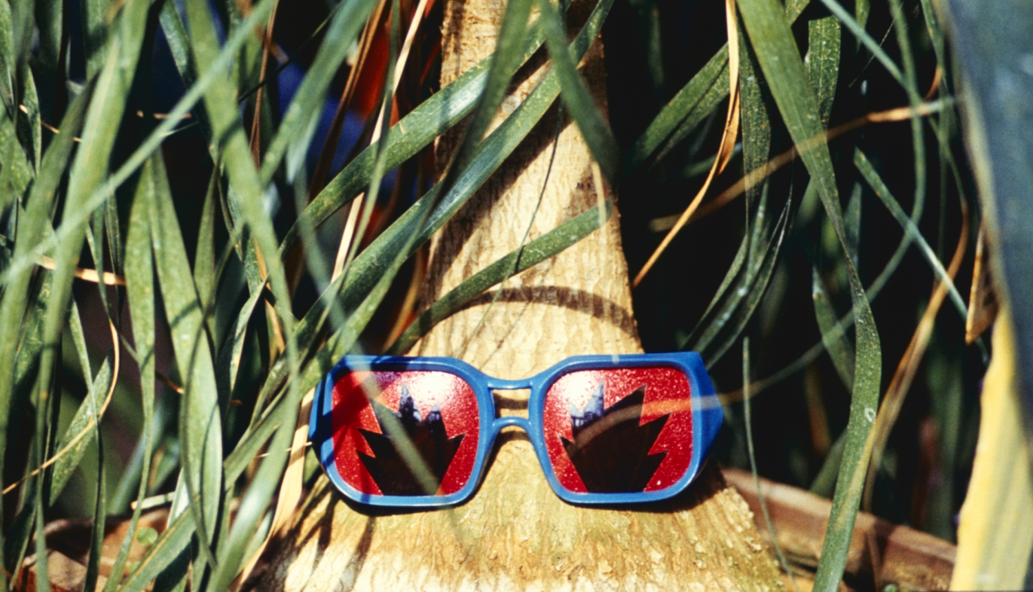 "Doktora Enesera binokulāro deju kursi". Performance Salaspils Botāniskajā dārzā, 1987. Foto: Imants Žodžiks