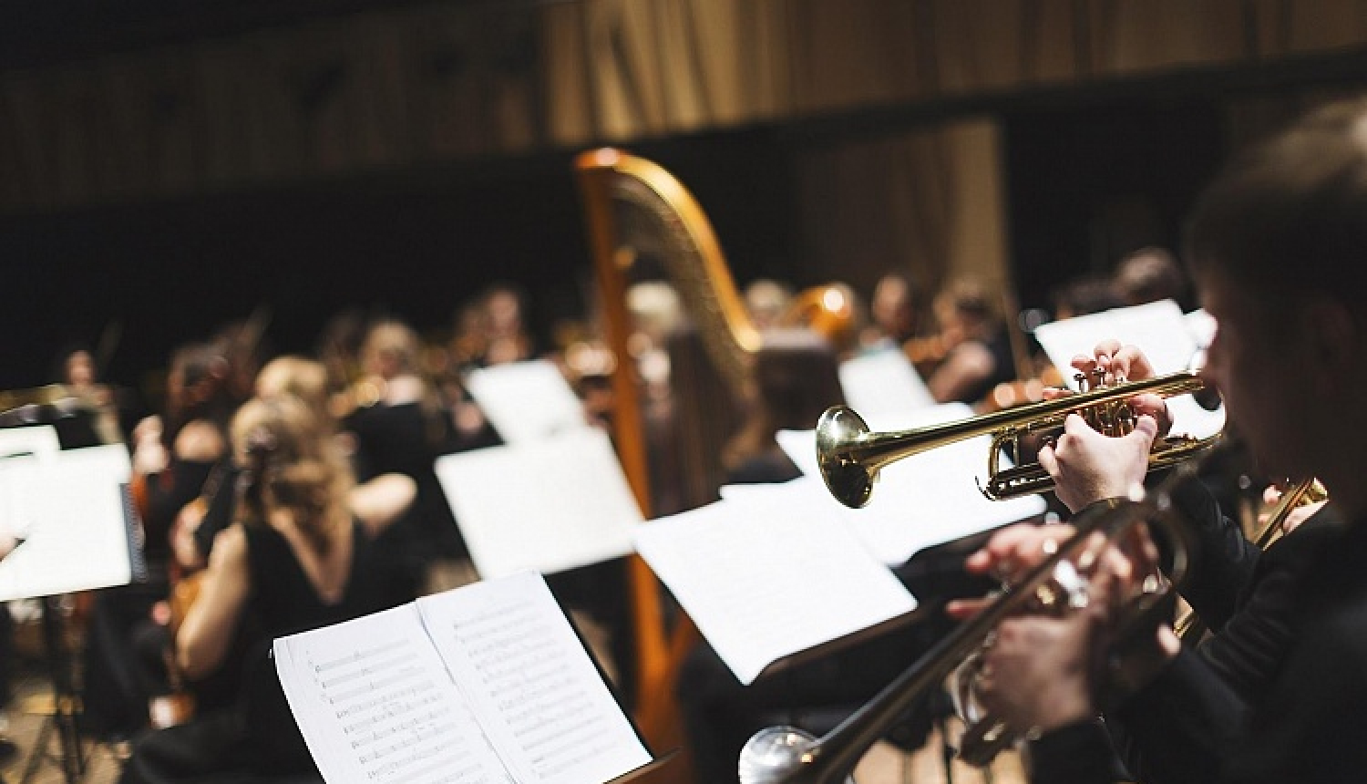 Pirmo reizi Latvijā licencēta profesionālā doktora studiju programma mākslās