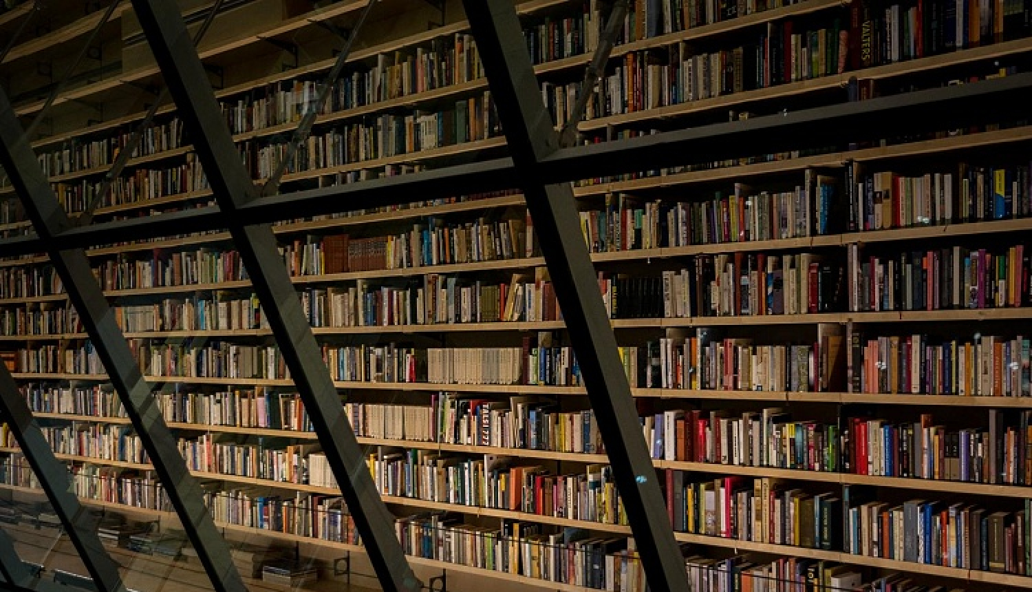 Latvijas Rakstnieku savienība nodod ārzemēs iznākušās Latvijas autoru grāmatas Latvijas Nacionālai bibliotēkai