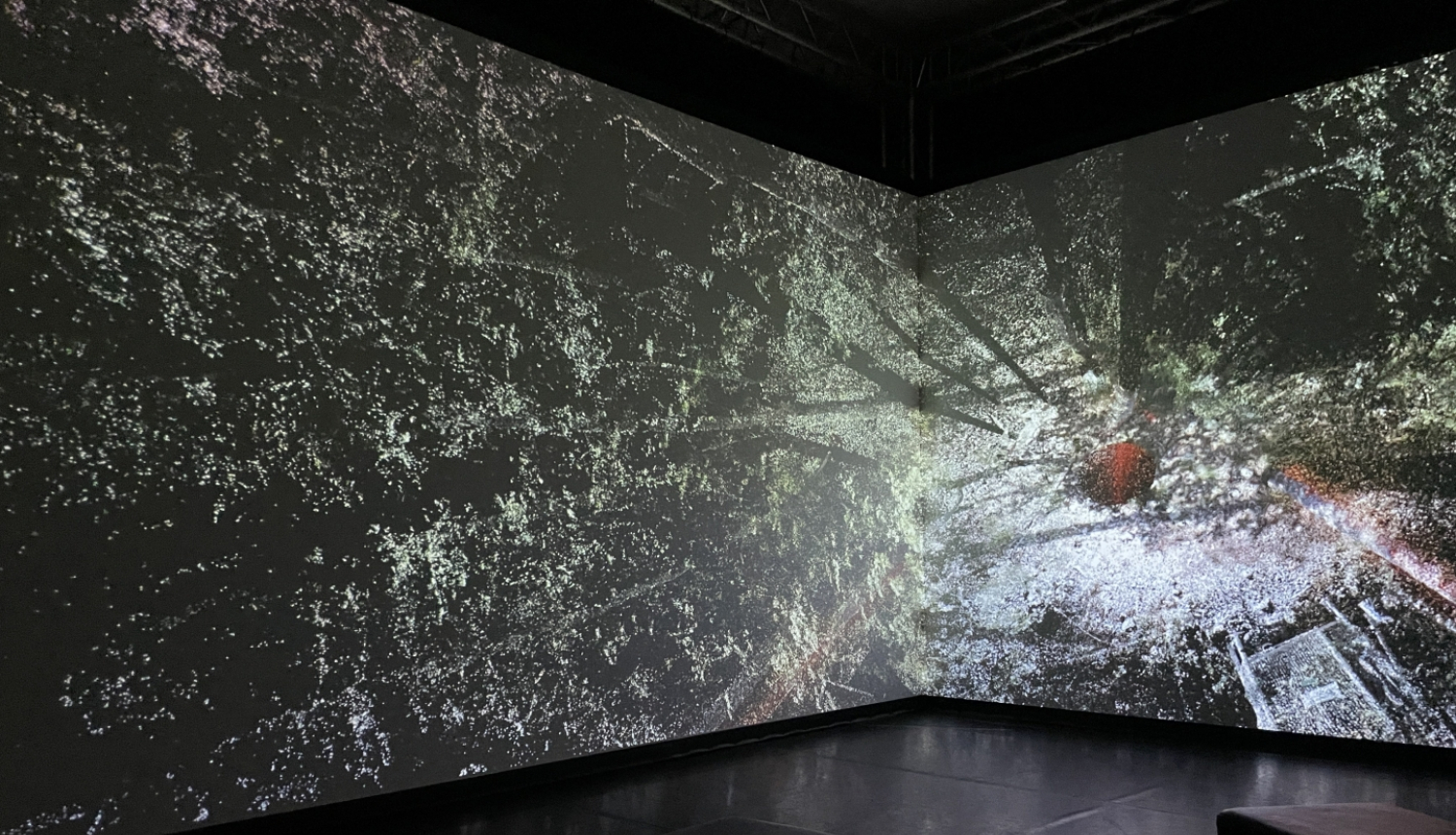 Rasa Šmite un Raitis Šmits. Atmosfēriskais mežs, 2022