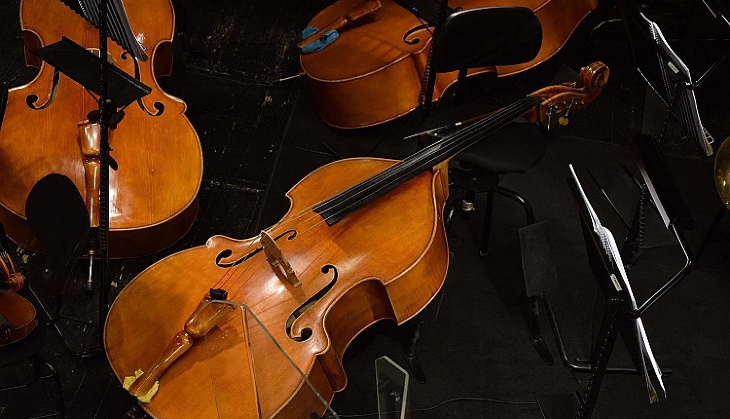 Mūzikas padome pauž atbalstu MK lēmumam akustisko koncertzāli būvēt Rīgas centrā - Elizabetes ielā 2