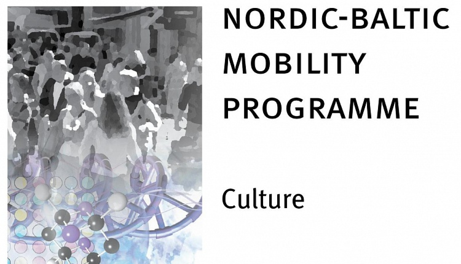 Ziemeļvalstu un Baltijas valstu mobilitātes programmas „Kultūra” ietvaros ir izsludināts konkurss īstermiņa sadarbības tīklu veidošanai