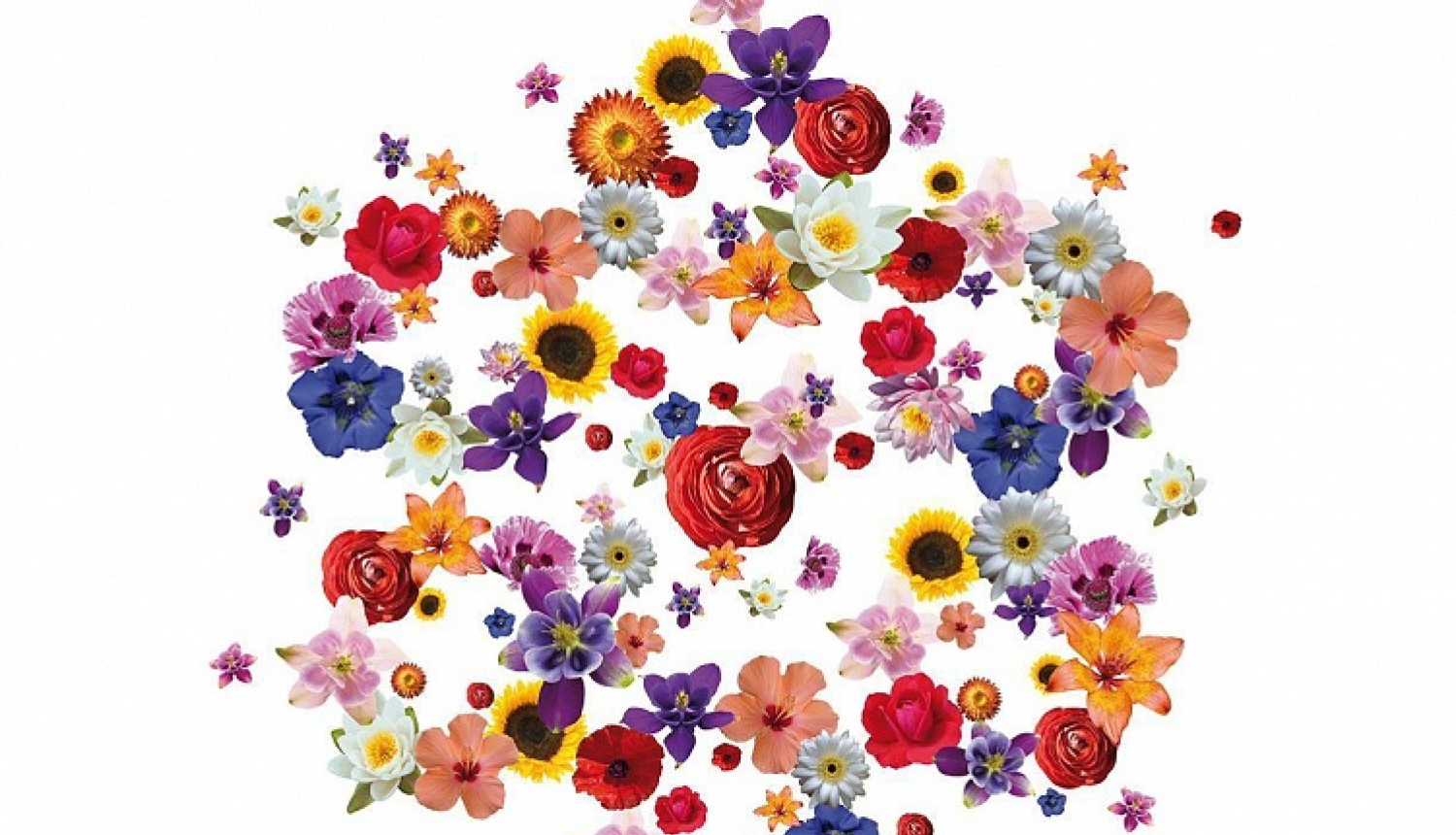 Latvijas Nacionālā opera un balets 16. augustā sāk vasaras izrādes