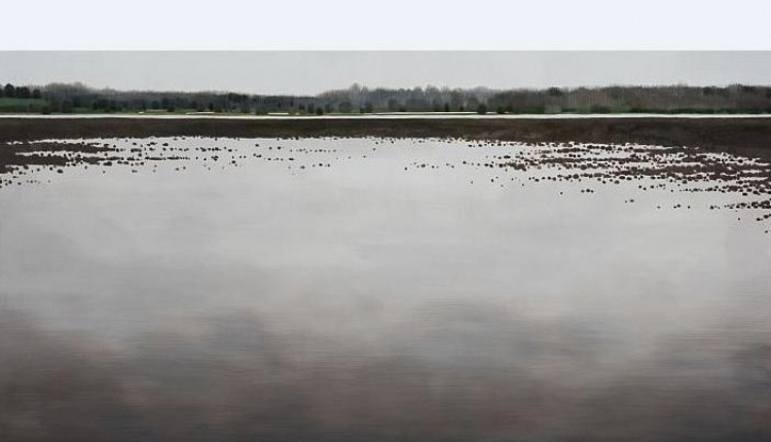 Paralēli. Vija Zariņa. Kaspars Zariņš. 2 personālizstādes