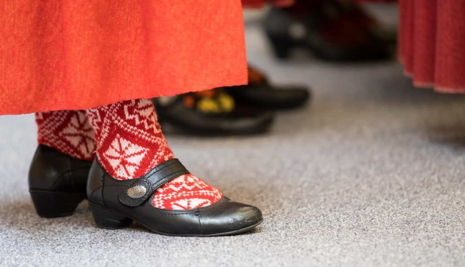 Suitu tautastērpa fragments