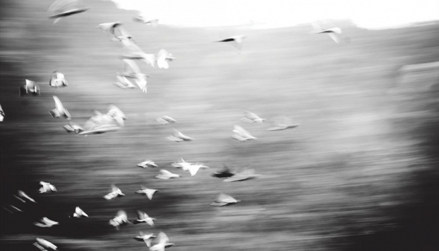 “Pierakstītā skaņa” Latvijas Nacionālajā bibliotēkā