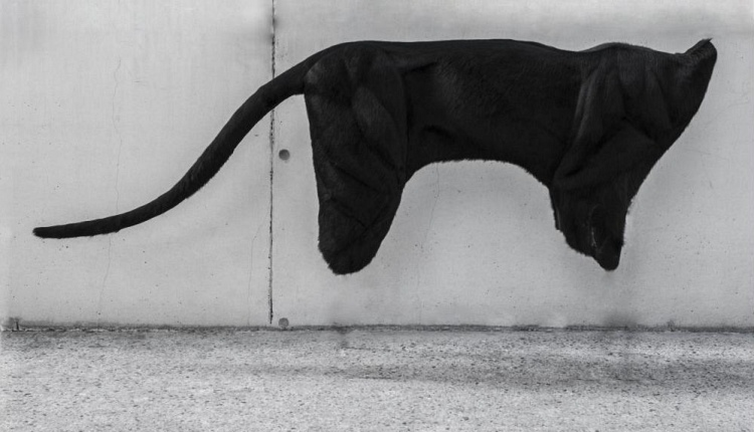 Cēsīs notiks Latvijas Mākslas akadēmijas studentu diplomdarbu izstāde "Netveramā robeža"