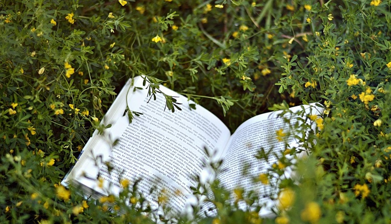 Literatūras un kritikas portāls "Ubi Sunt" atsācis darbu