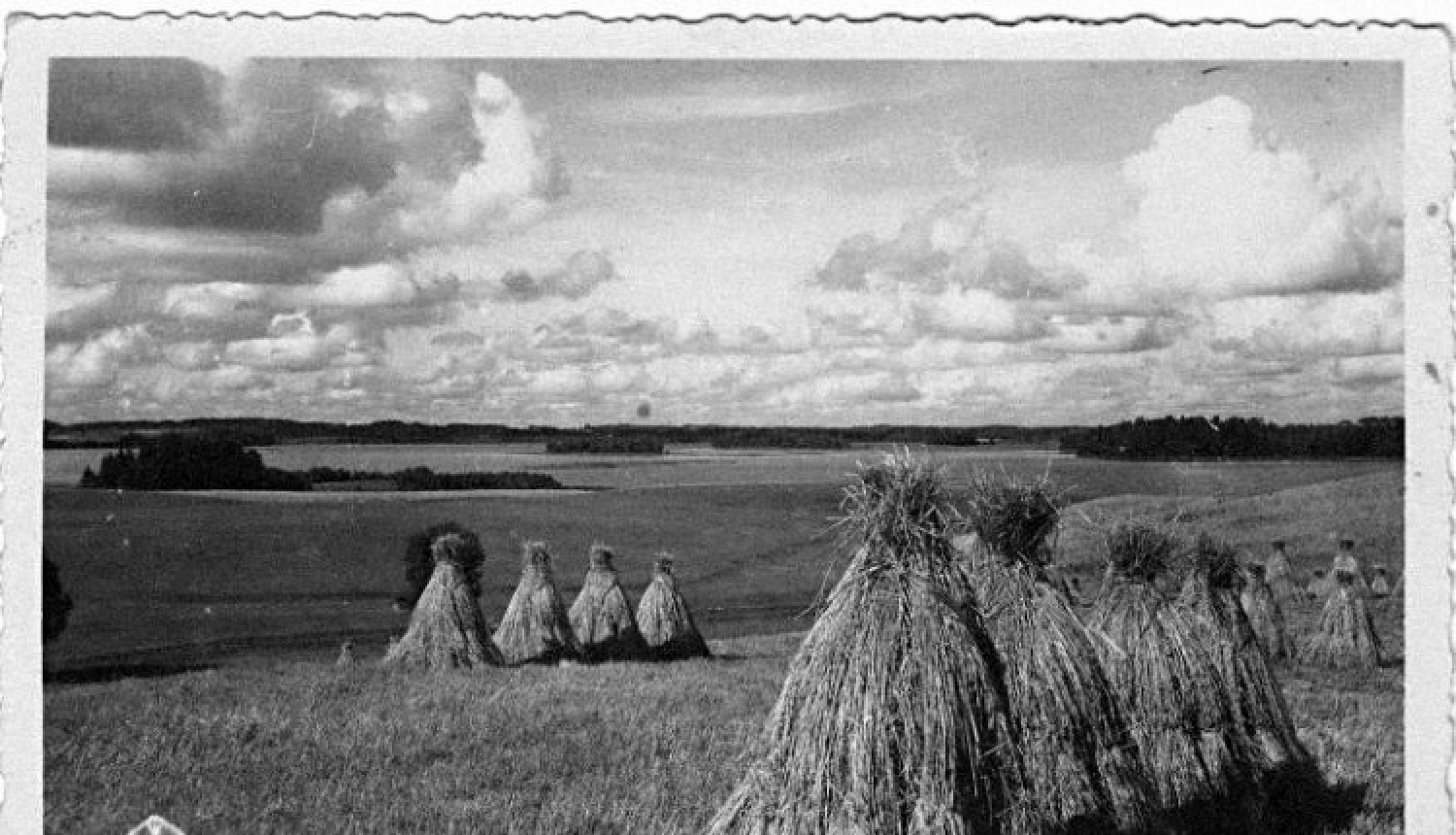 Ar izstādi un forumu noslēgsies valsts simtgades iniciatīva “Ainavu dārgumi”