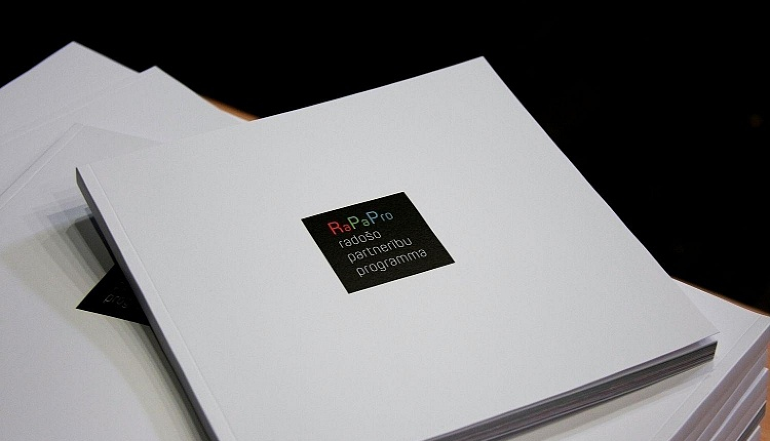 Radošās partnerības programmas RaPaPro projektus šogad īstenos Rīgā un Latvijas reģionos