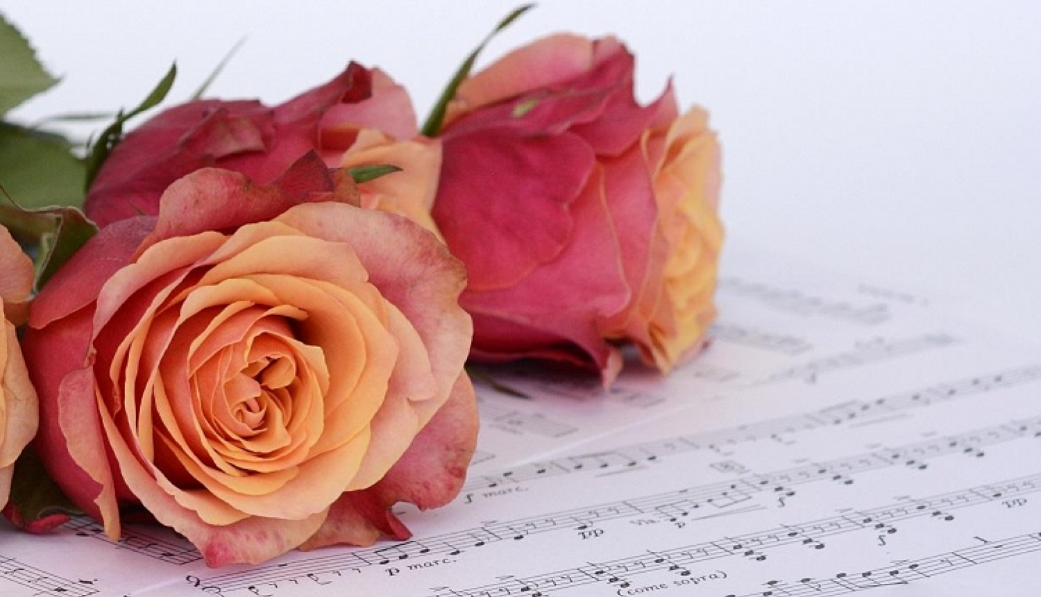 Kultūras ministres Daces Melbārdes apsveikums pirmajā skolas dienā