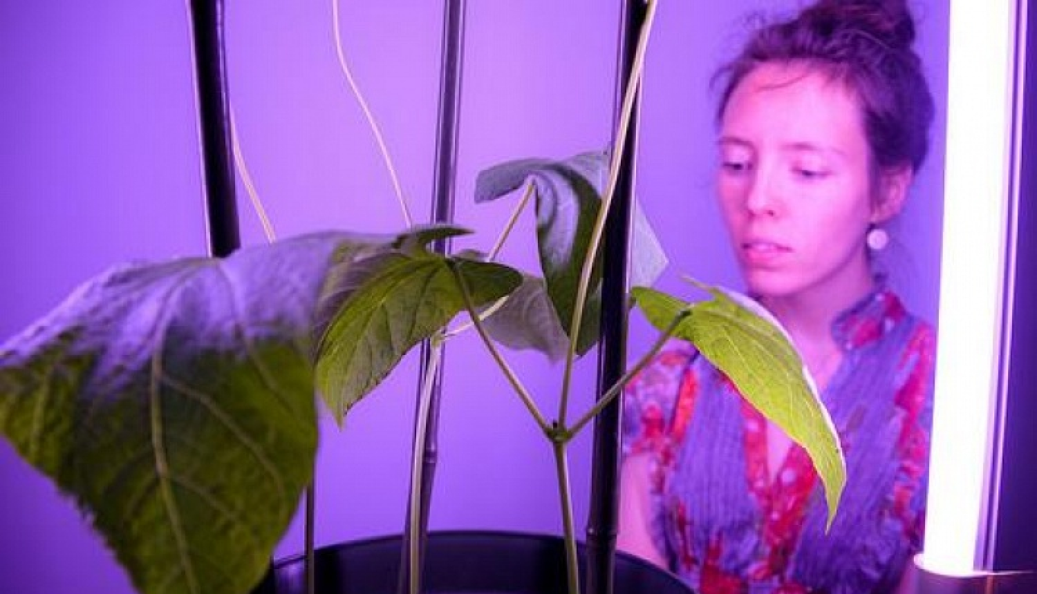 Latvija piedalās starptautiskajā digitālās mākslas izstādē, kas notiek trīs valstīs