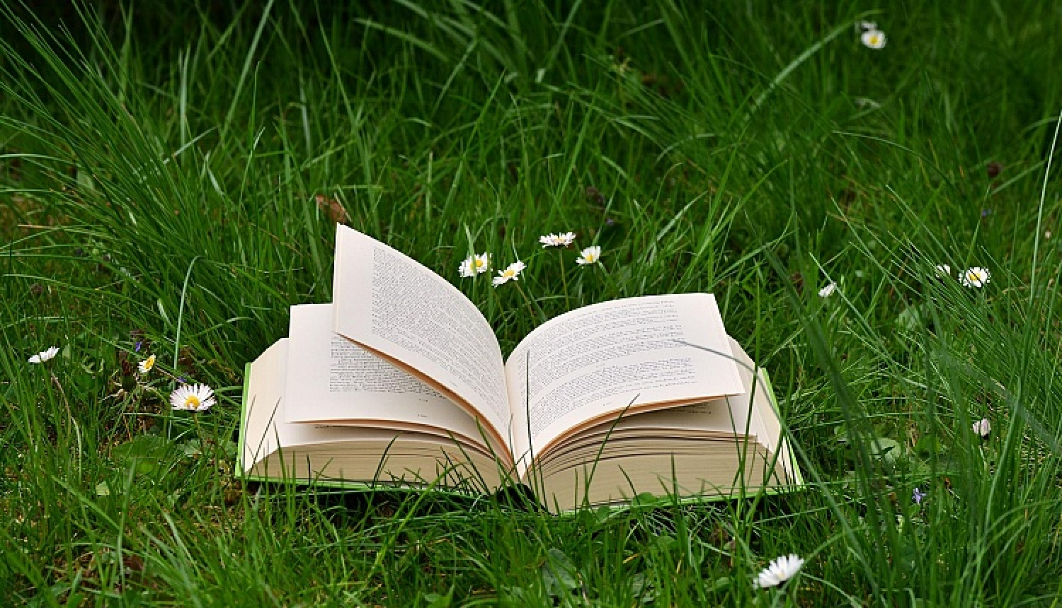 Piešķirts atbalsts diviem Latvijas kultūru reprezentējošiem izdevumiem angļu valodā