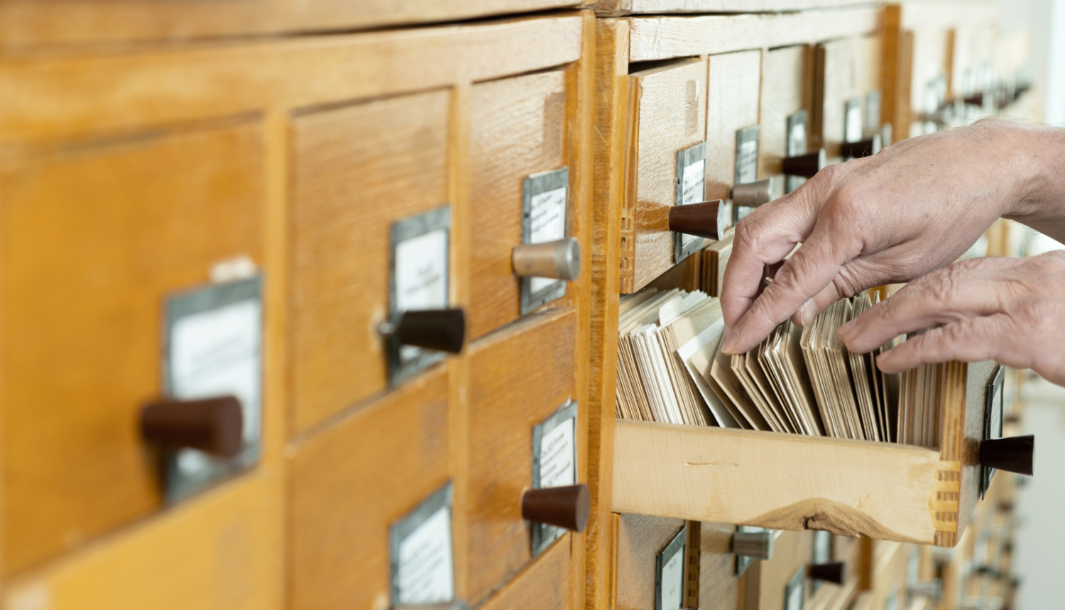 Cilvēks pāršķirsta arhīva kartītes vienā no arhīva skapja atvilknēm