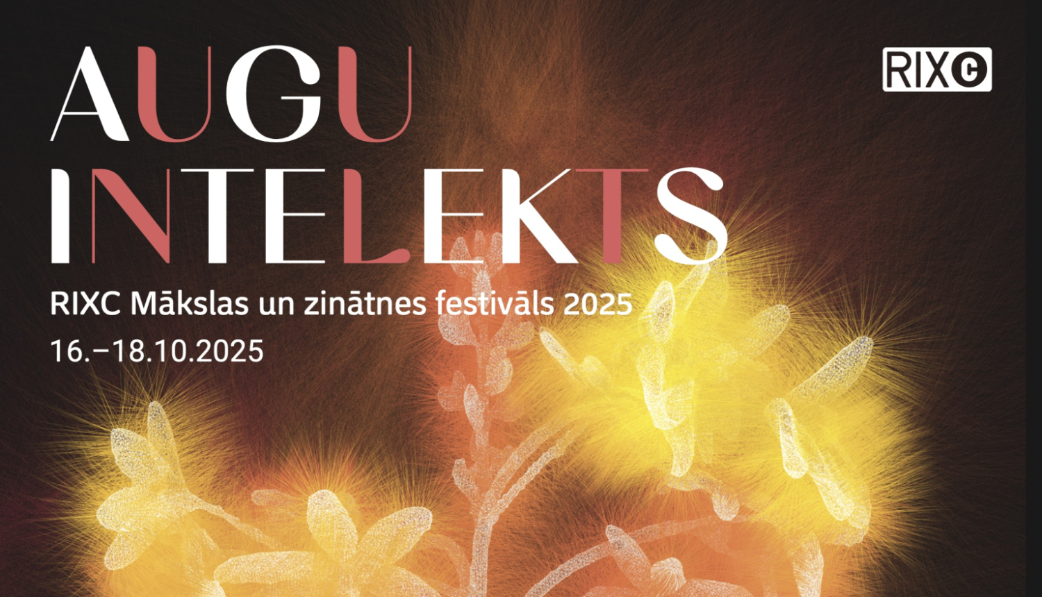 Teksts uz mirdzošas auga fotogrāfija fona: Augu intelekts, RIXC Mākslas un zinātnes festivāls 2025, 16.-18.10.2025.