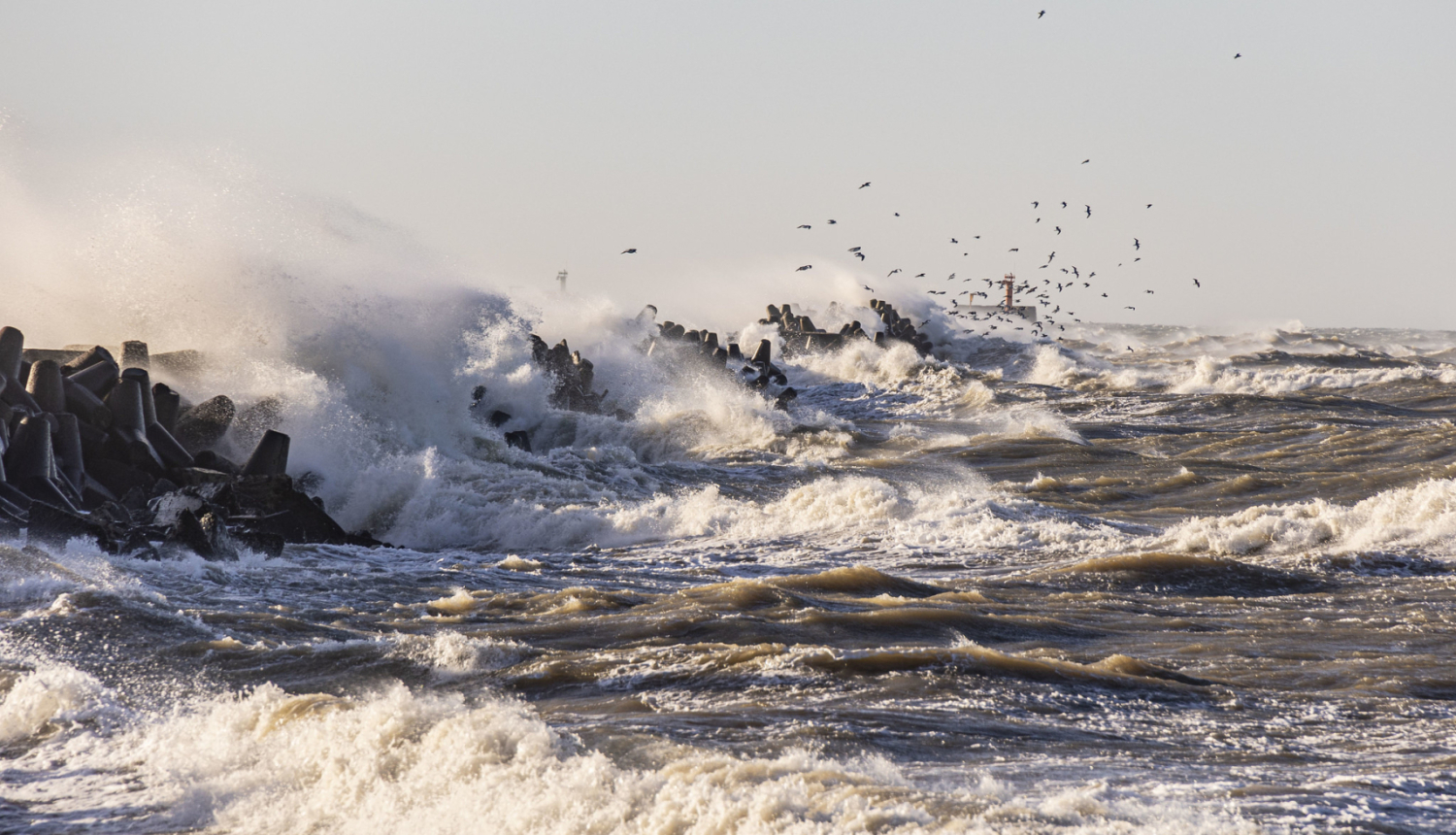 "Dabas (ne)miers" publicitātes foto