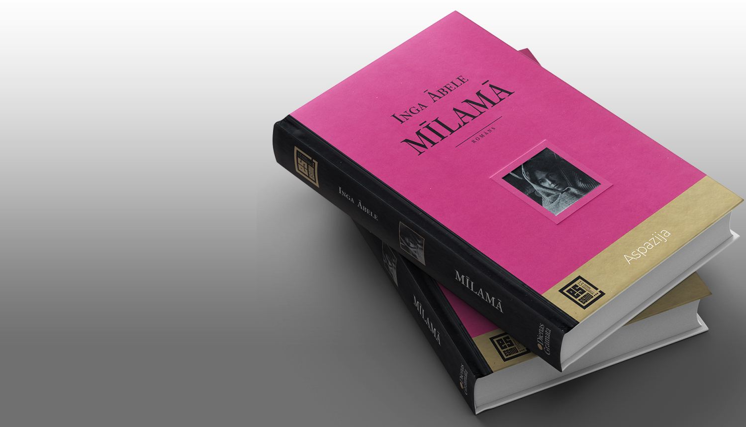 Romāns “Mīlamā. Leģenda par sidraba šķidrautu”