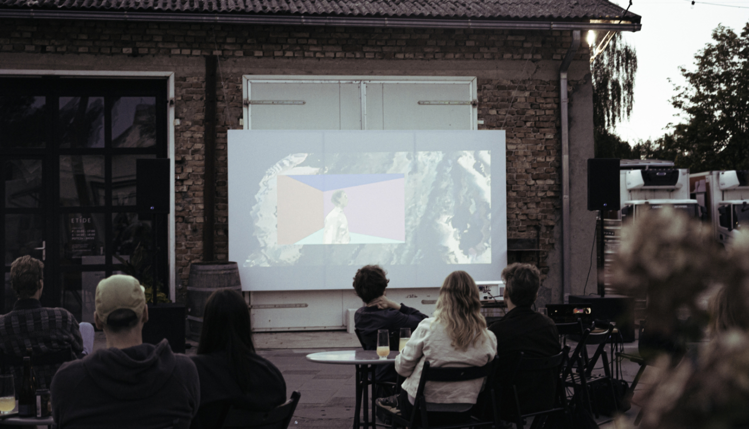 Brīvdabas kino seanss