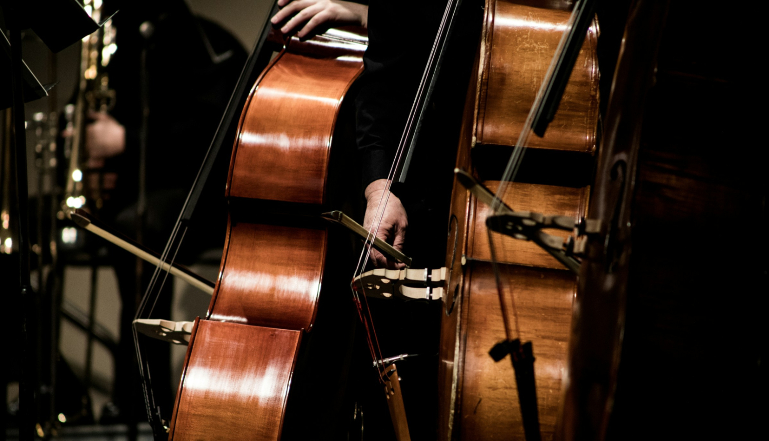 Divi kontrabasi uz skatuves