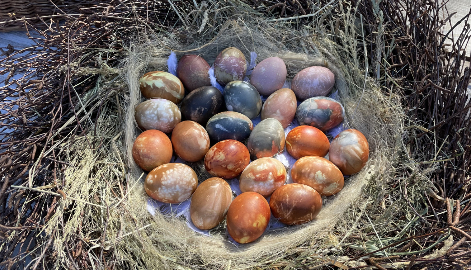 Krāsotas Lieldienu olas no zariem vītā grozā