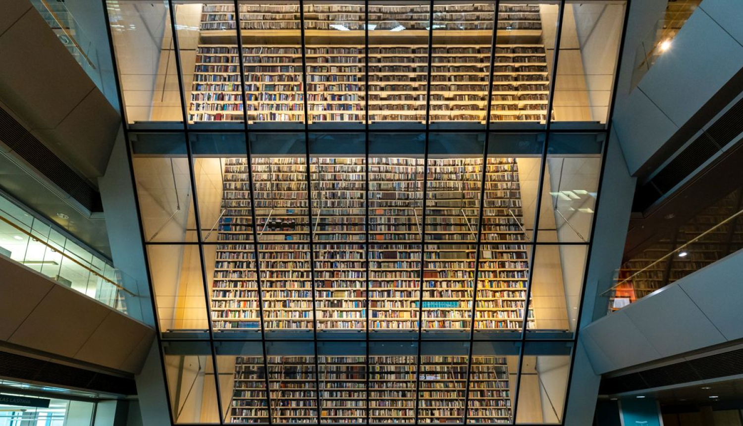 Tautas dāvināto grāmatu plaukts