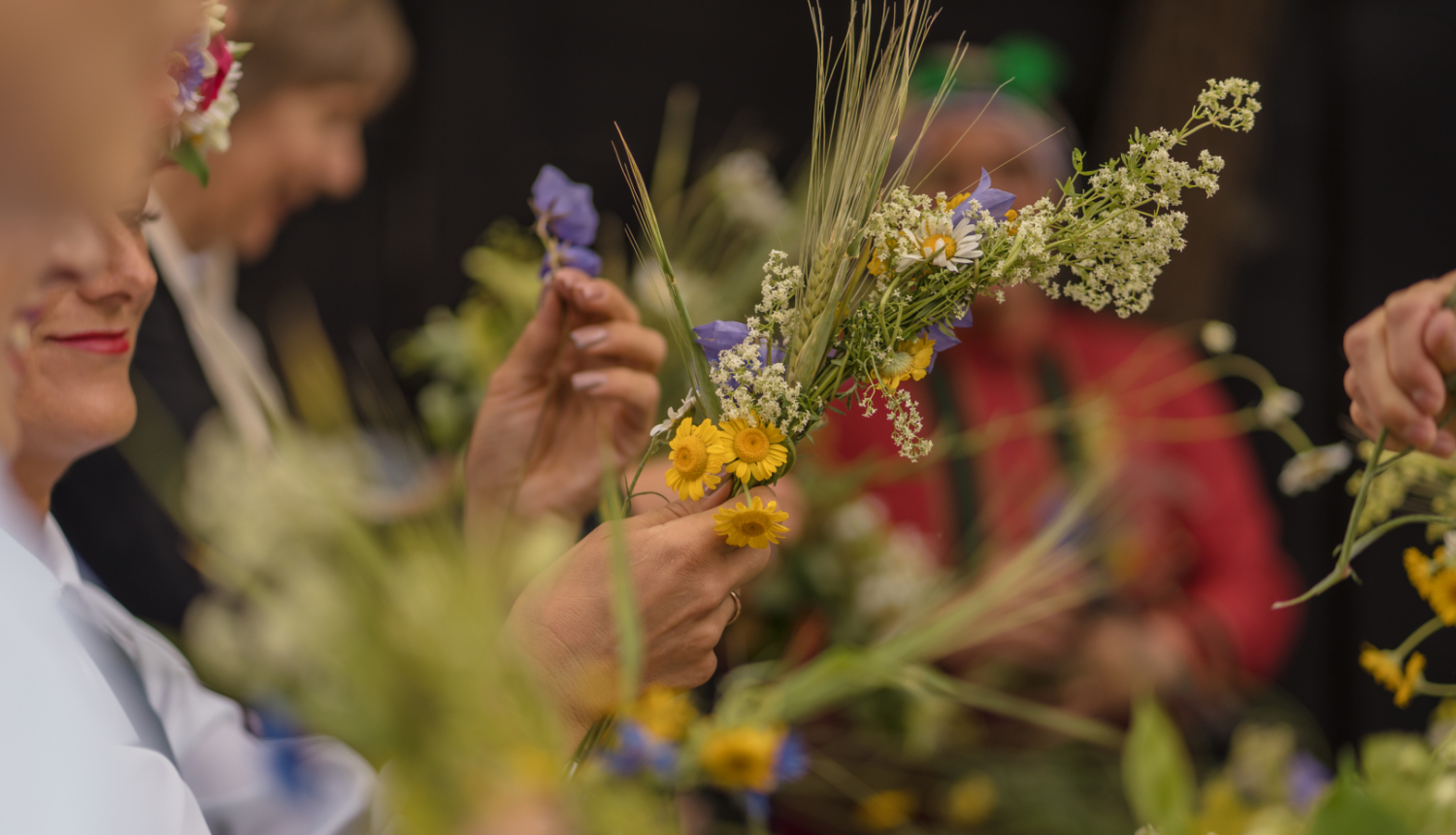 Vainaga pīšanas process no jāņuzālēm