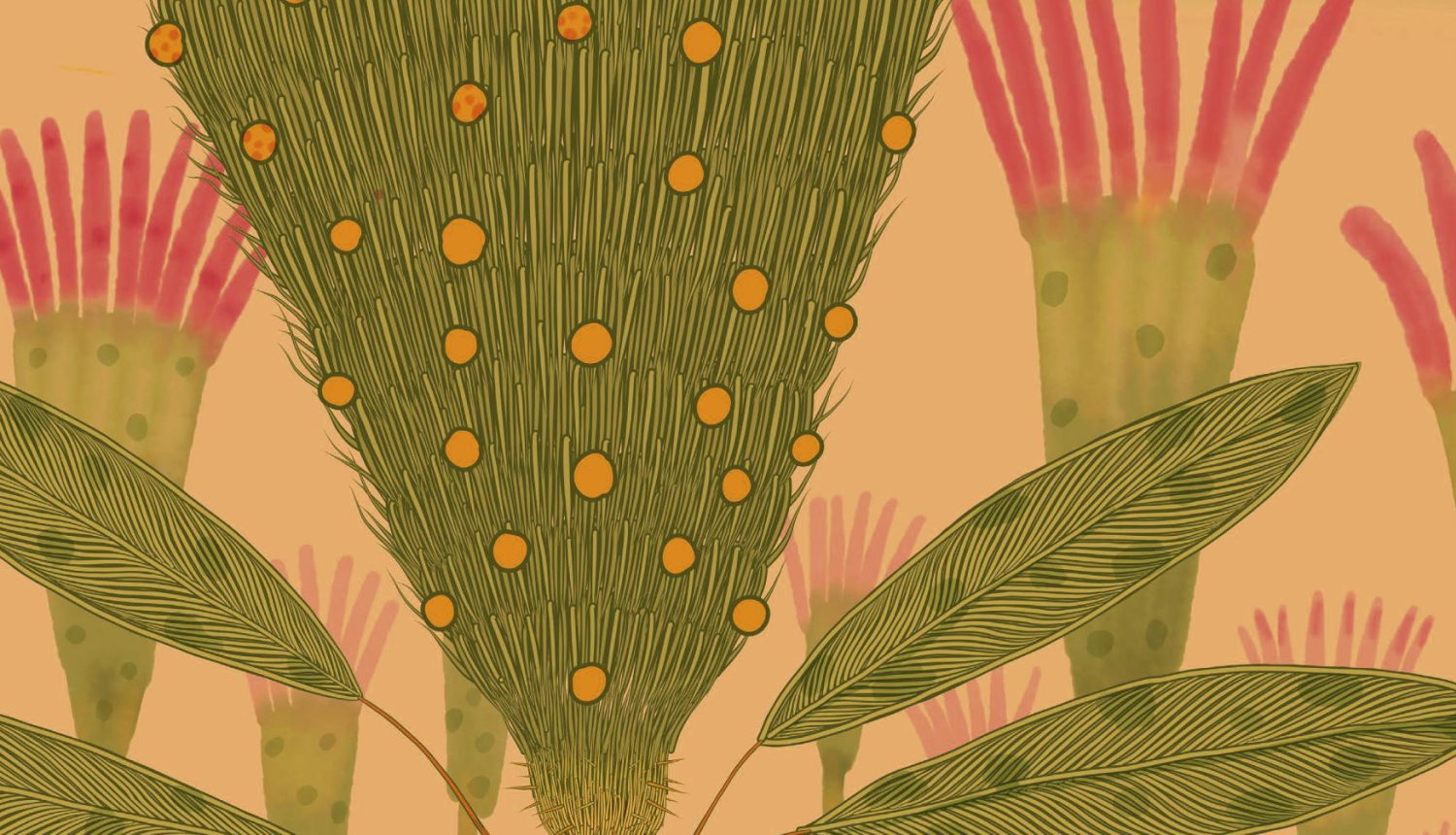 Ilustrāciju izstādes “Maģiskais mežs” fragments