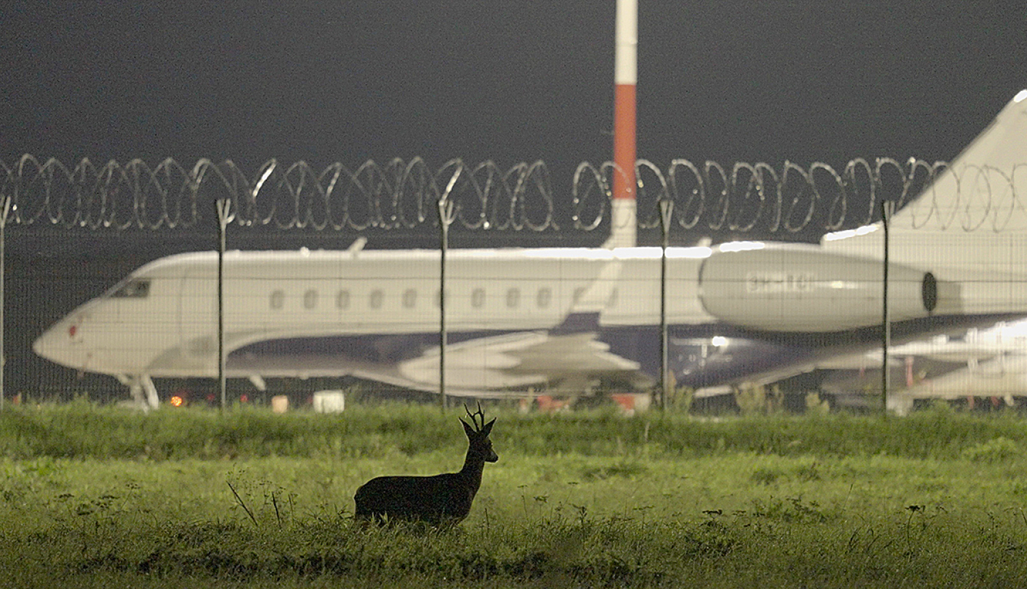 Kadrs no filmas "Putnubiedēkļi" ar buku pie lidostas žoga