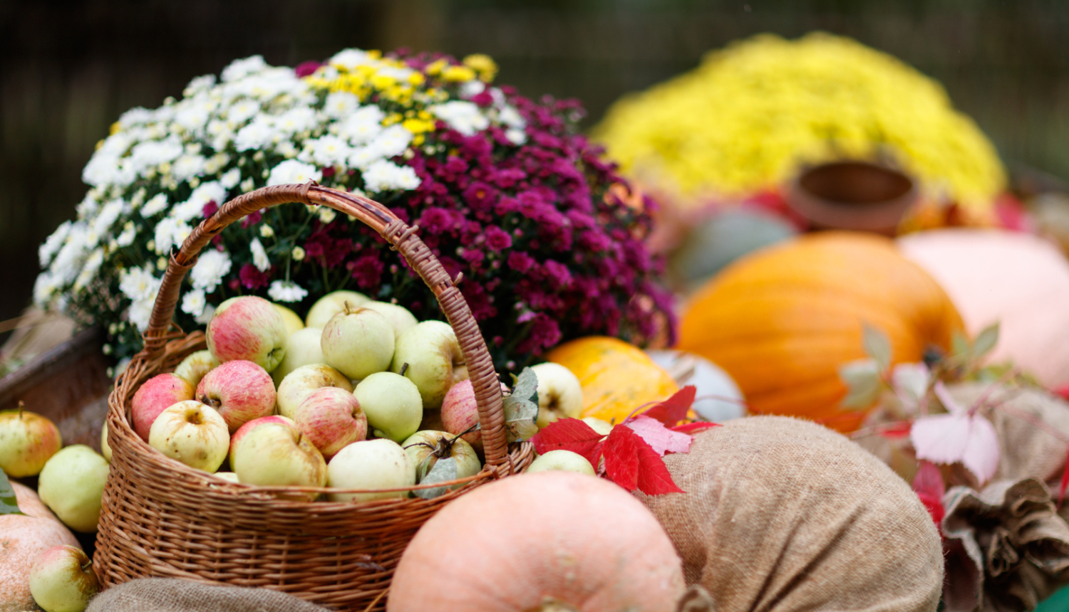 Rudens veltes - ziedi, āboli, ķirbiji uz galda