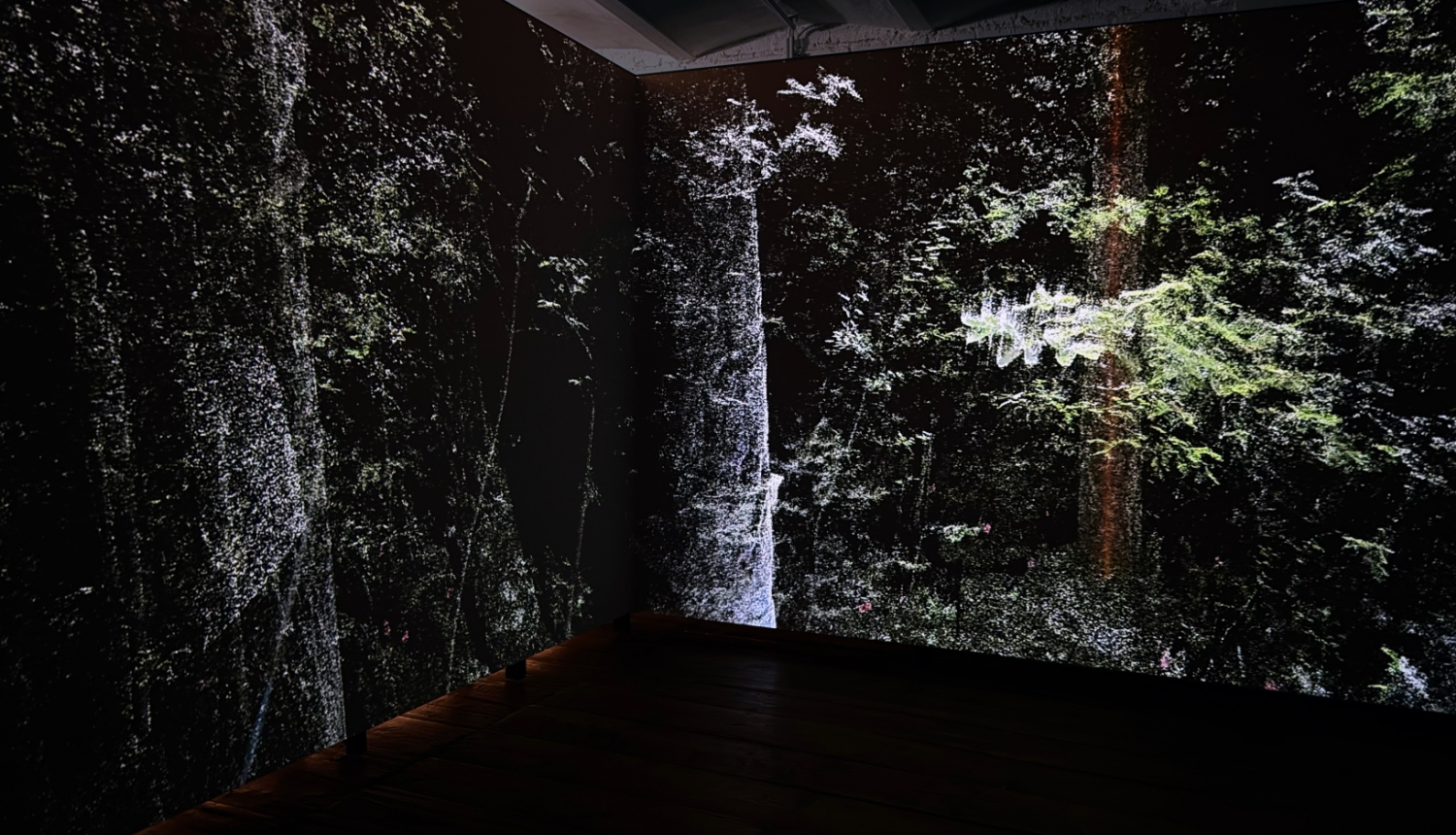 Rasa Šmite, Raitis Šmits. Atmosfēriskais mežs, 2020. Vīnes klimata biennāles izstāde “Mežs: Ekosistēmas perspektīva”. 06.04.-11.08.2024.RIXC publicitātes foto.