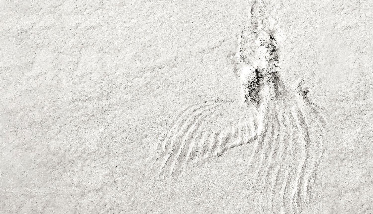 Krista Auznieka monooperas “Apzināšanās” publicitātes attēls