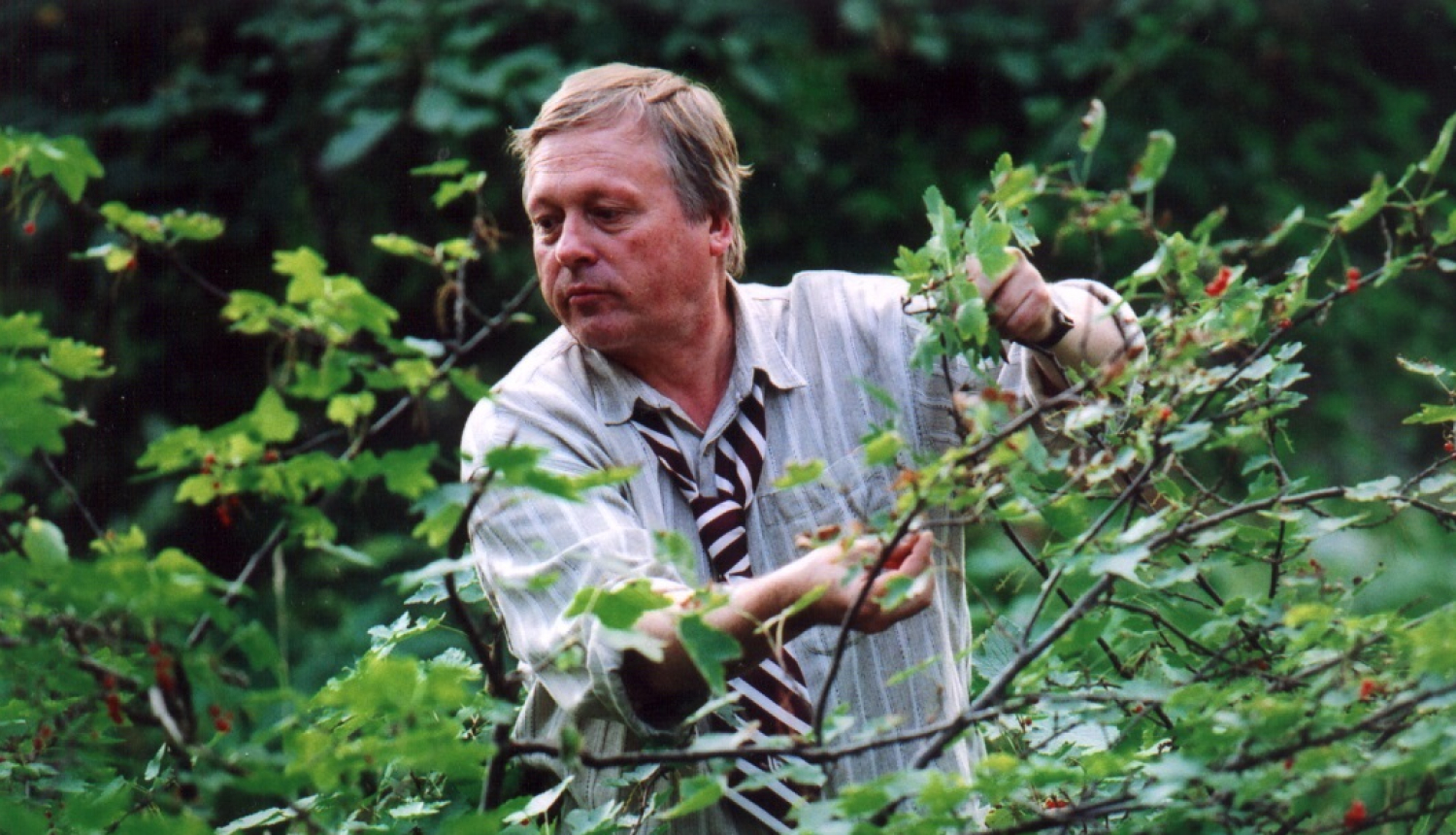 Režisors Arvīds Krievs