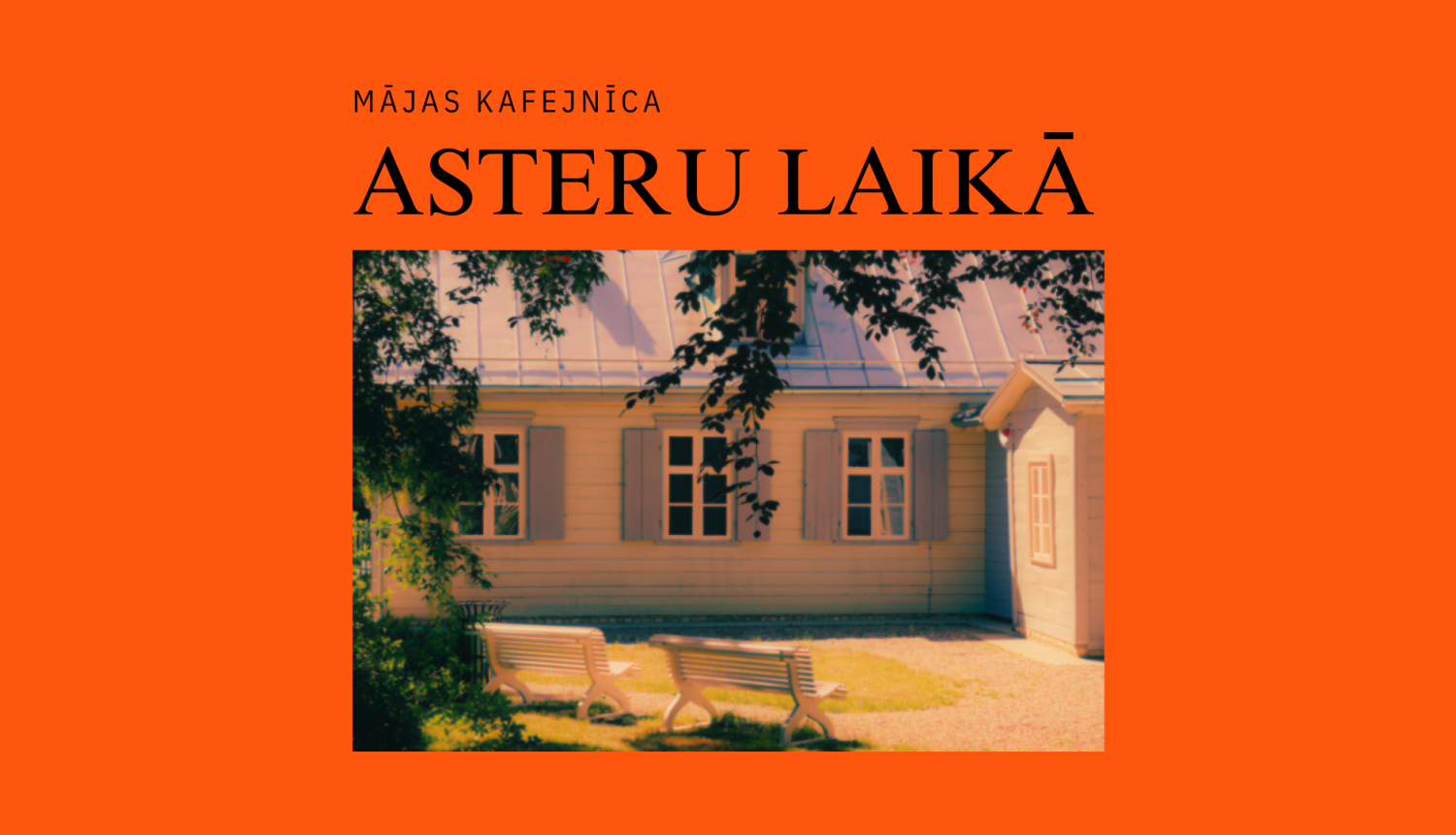 Mājas kafejnīcas “Asteru laikā” vizuālais materiāls