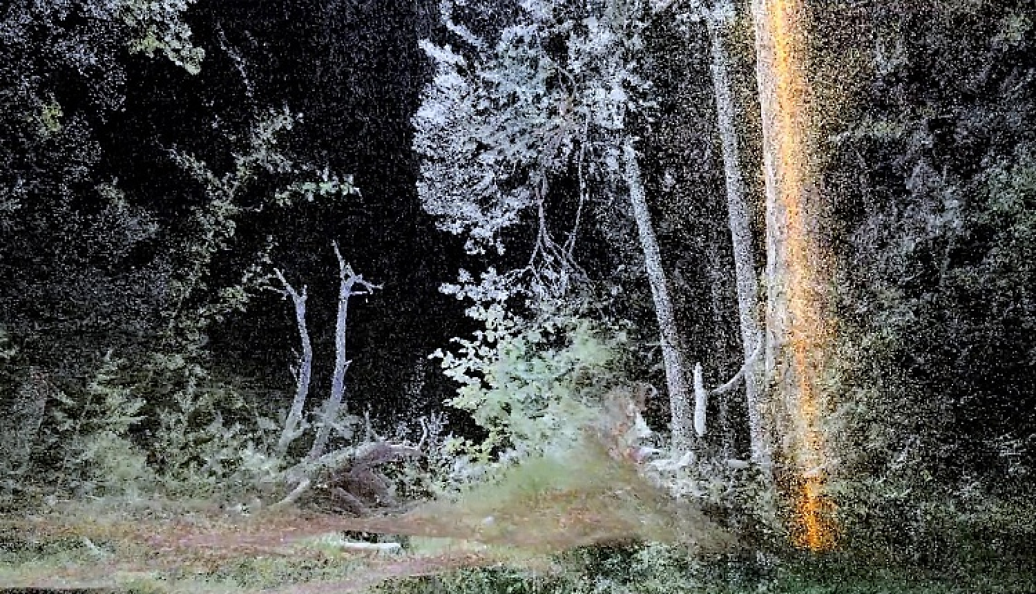 “Atmosfēriskais mežs” – Rasas Šmites un Raita Šmita jaunais VR mākslas darbs izstādes “Kritiskās zonas” virtuālajā atklāšanā ZKM Vācijā