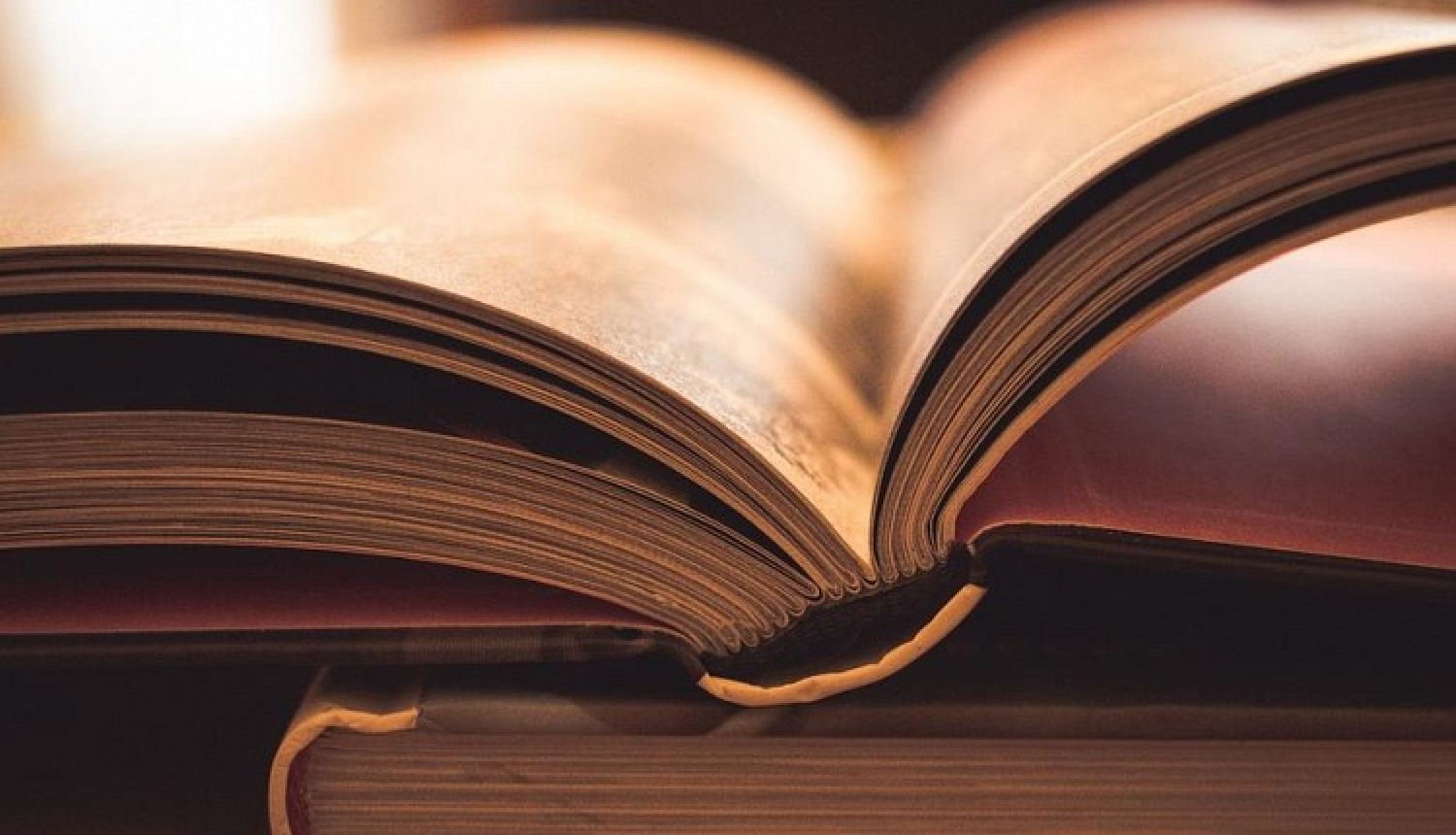 Baltic International Bank sadarbībā ar Kultūras ministriju plāno izdot unikālu grāmatu „Dzimtu ģerboņi Latvijā”