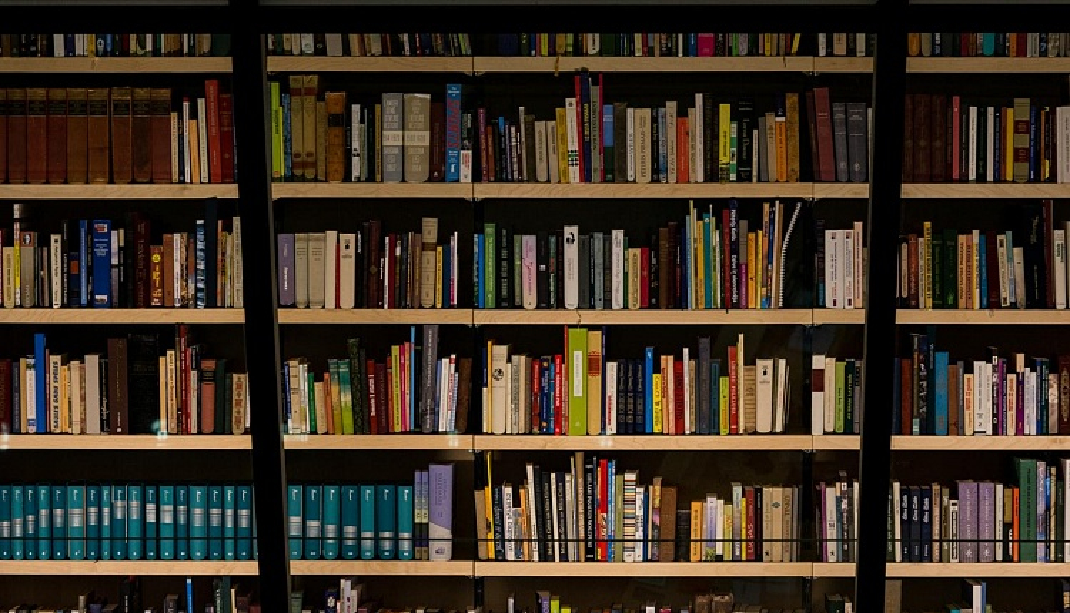 Ārvalstīs tiks izdoti vēl 16 latviešu literatūras darbu tulkojumi