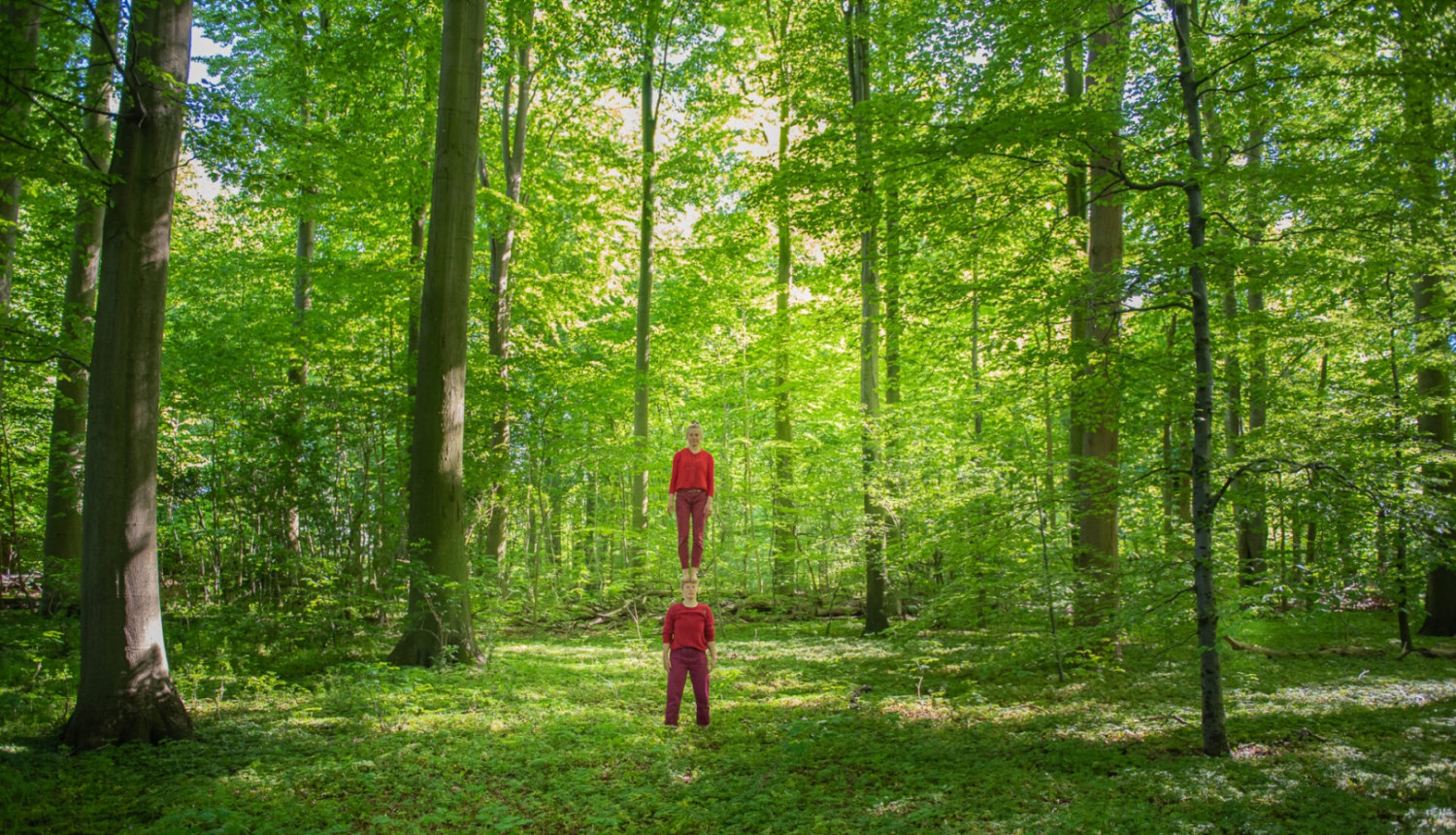 Cirka mākslinieki mežā