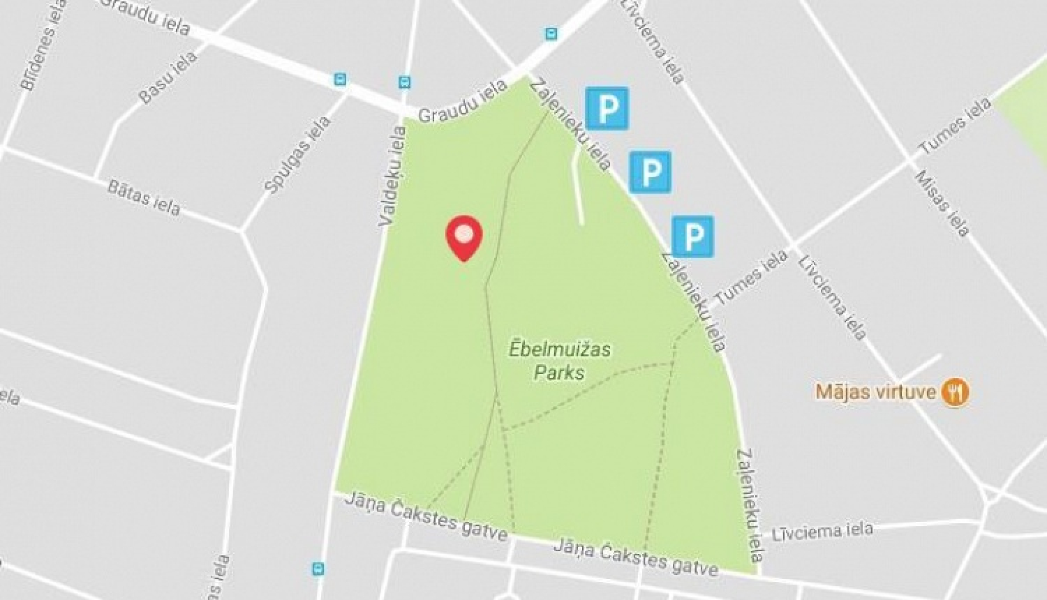 Uzaicinājums uz Latvijas valsts simtgades dižkoku meklēšanas akcijas uzsākšanu