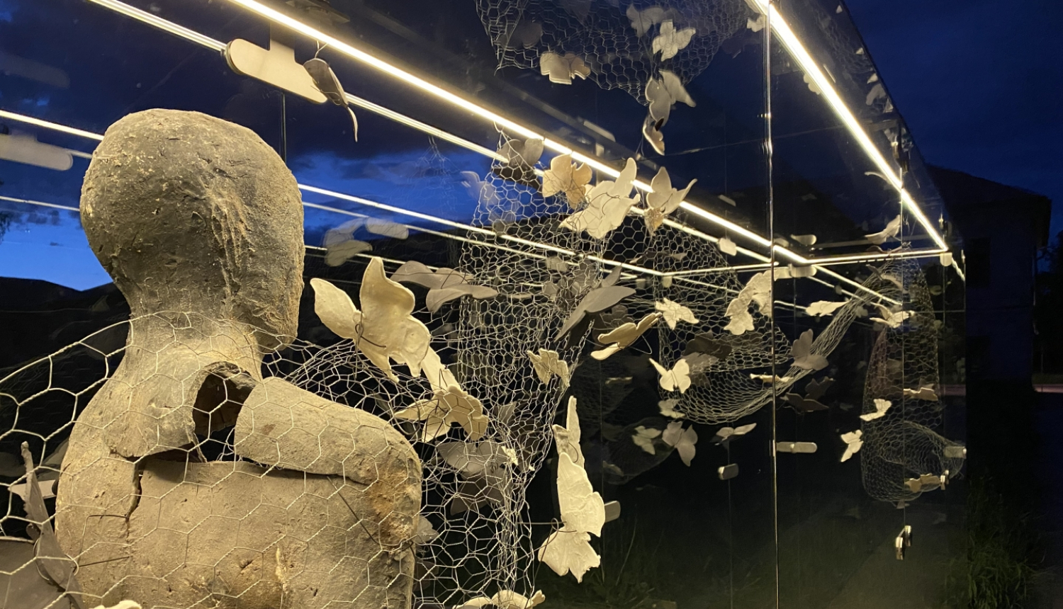 Publicitātes attēls