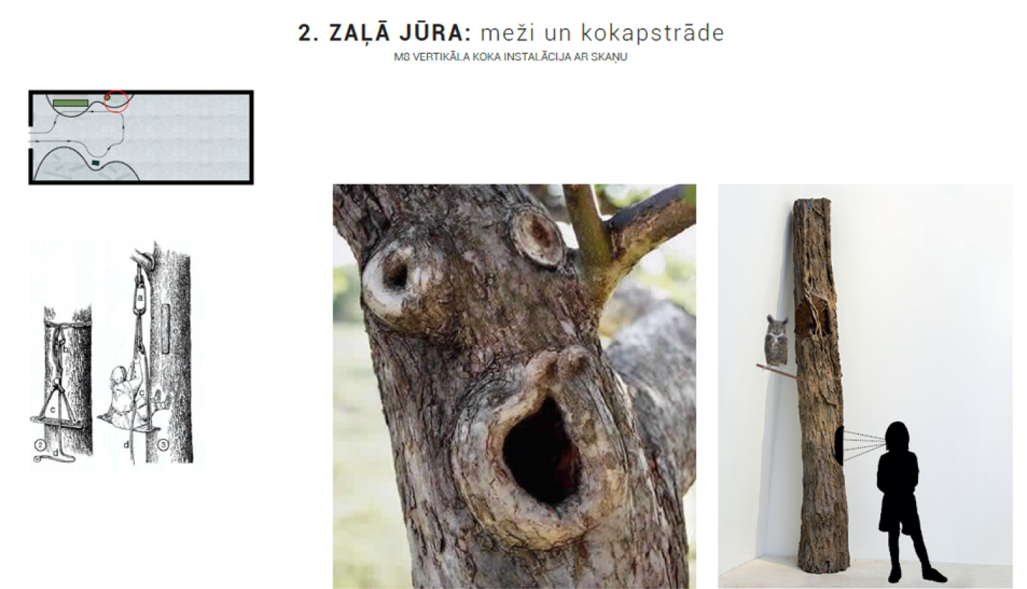 Ilustrācija – bišu koks