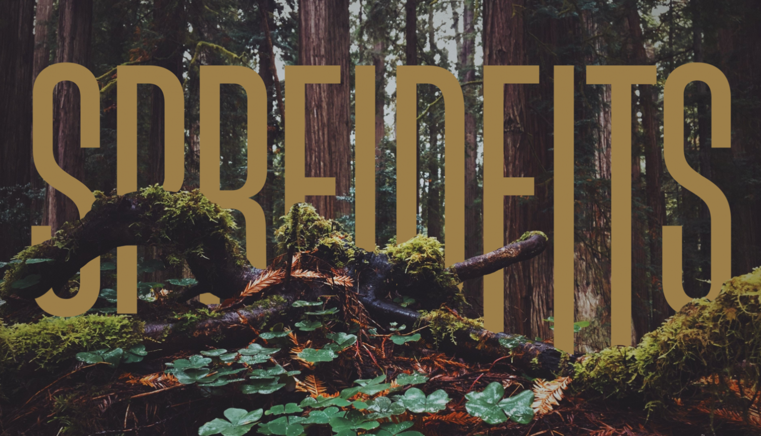 Izrādes vizuālais materiāls