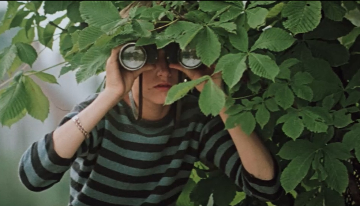 Kadrs no filmas "Ja nebūtu šī skuķa…" (1980)