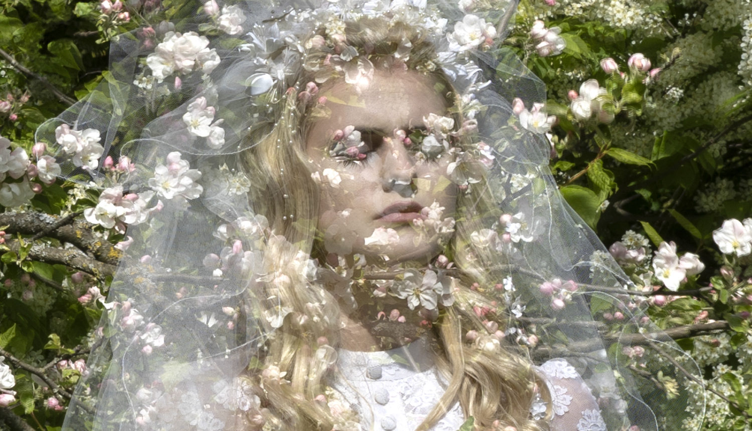 Sieviete baltā kāzu kleitā ieskauta ābeļziedos