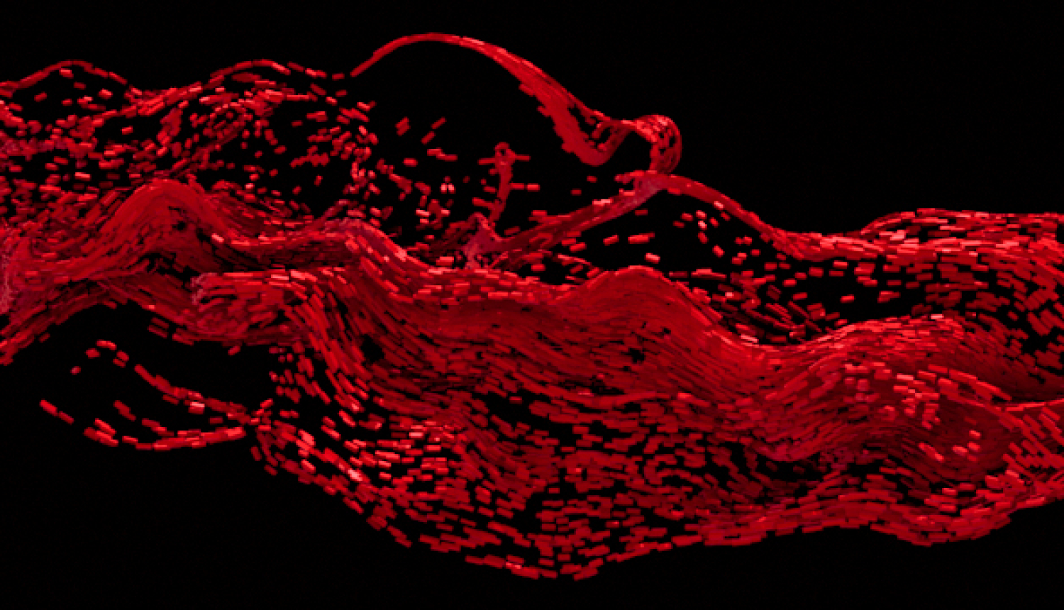 Karls Emīls Karlsens. Netverams, 2023.