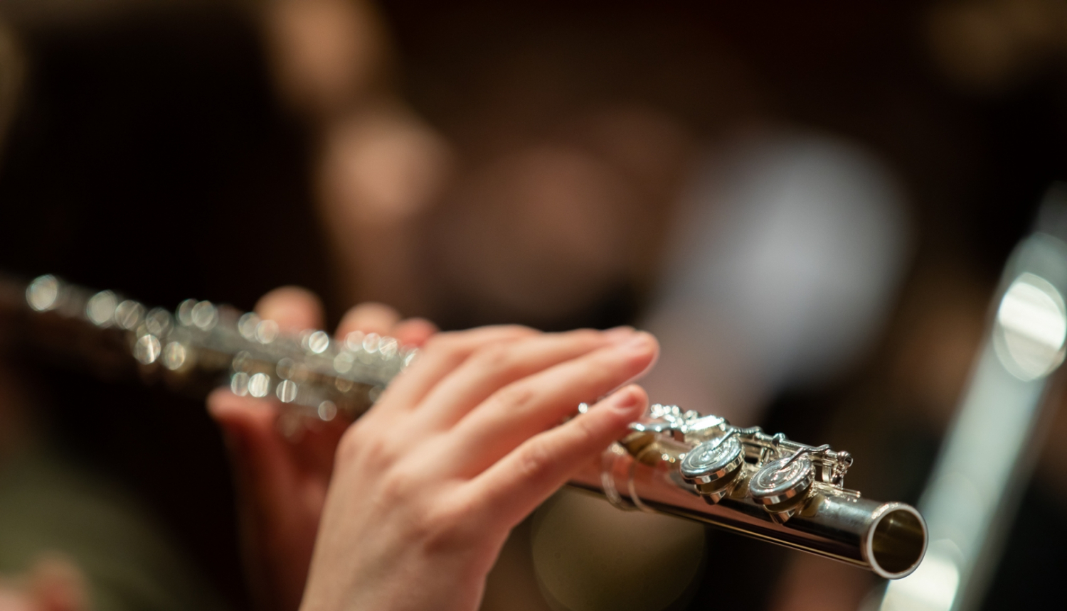 Mūzikas instruments