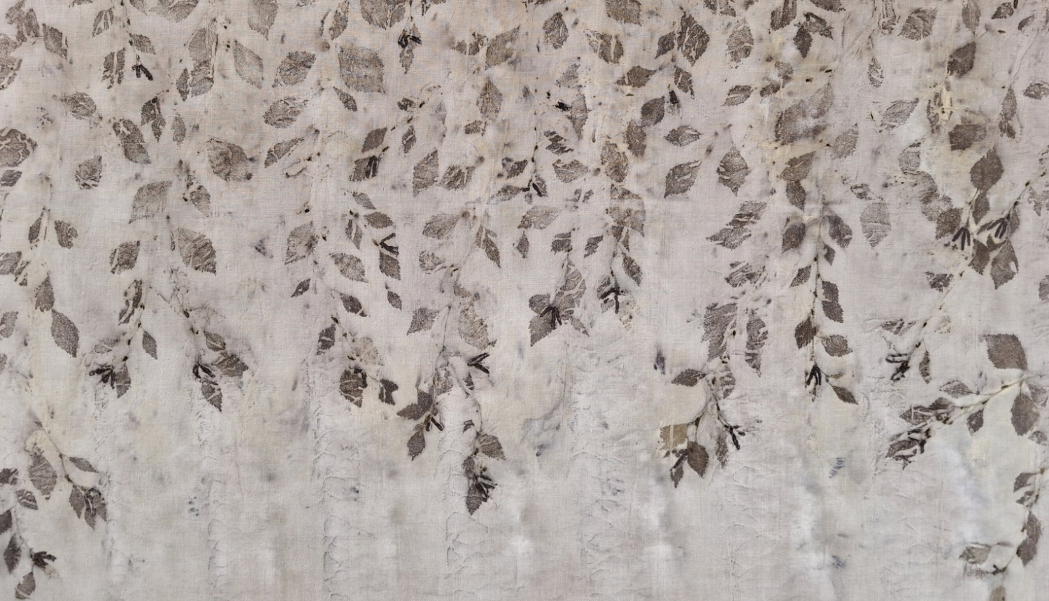 Lilita Bauģe. Dabas druka. 2024.